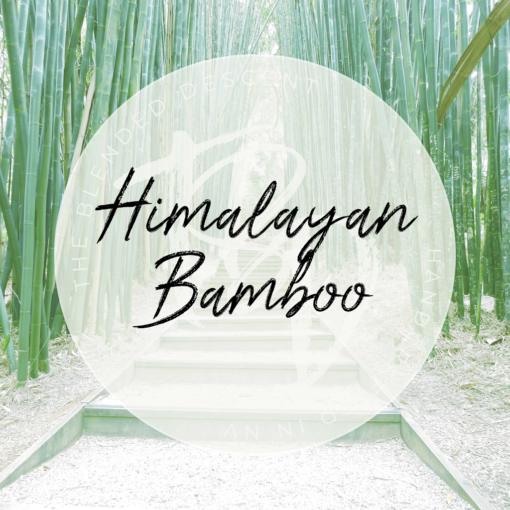 Himalayan Bamboo - Coconut Soy Wax Melt